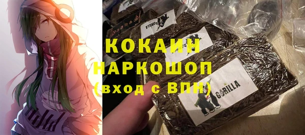 крисы Алексин